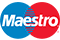 Maestro Logo